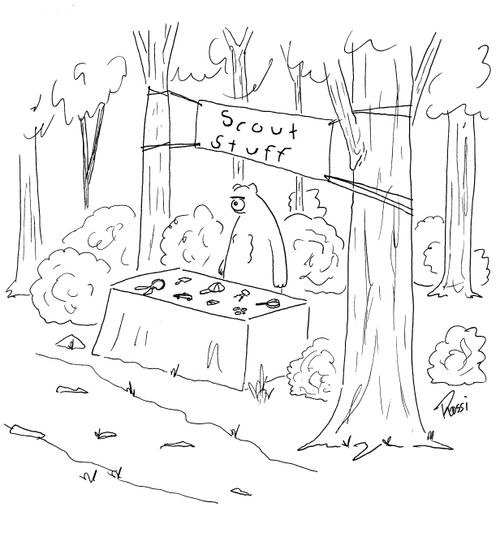 Scout Stuff.