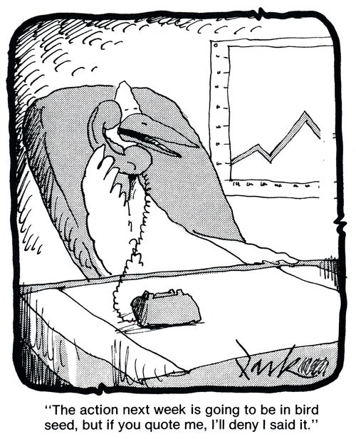 'The action next week is going to be in bird seed, but if you quote me, I'll deny I said it.'