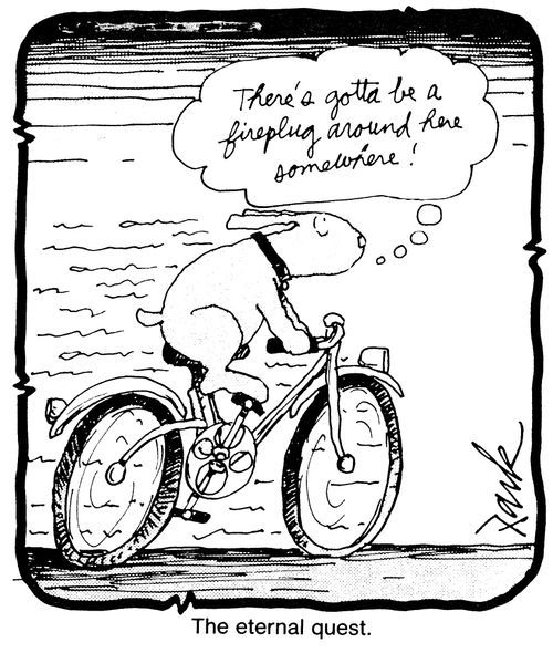 The eternal quest - 'There's gotta be a fireplug around here somewhere!'