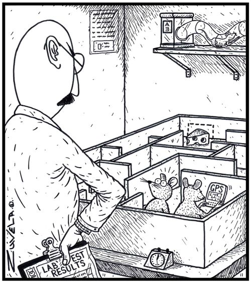 An angry Scientist has discovered his two Lab' mice are using a GPS to find their way through a maze to some cheese.