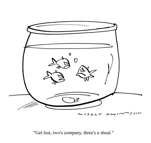 'Get lost, two's company, three's a shoal.'