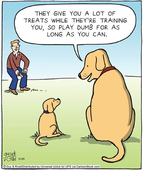 'They give you a lot of treats while they're training you, so play dumb for as long as you can.'
