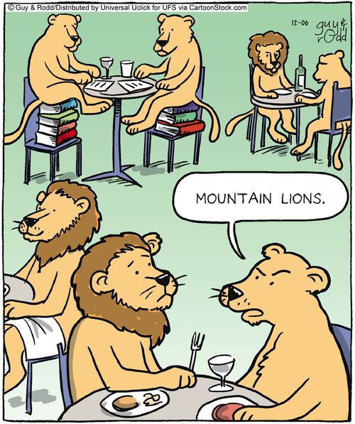 'Mountain lions.'