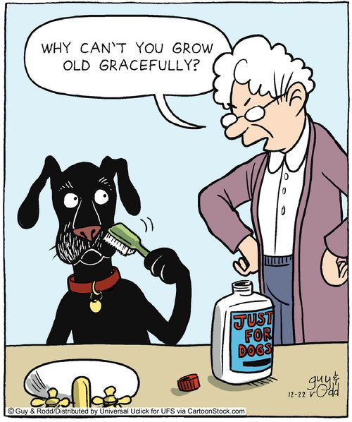 'Why can't you grow old gracefully?'