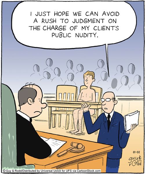 'I just hope we can avoid a rush to judgement on the charge of my clients public nudity.'`