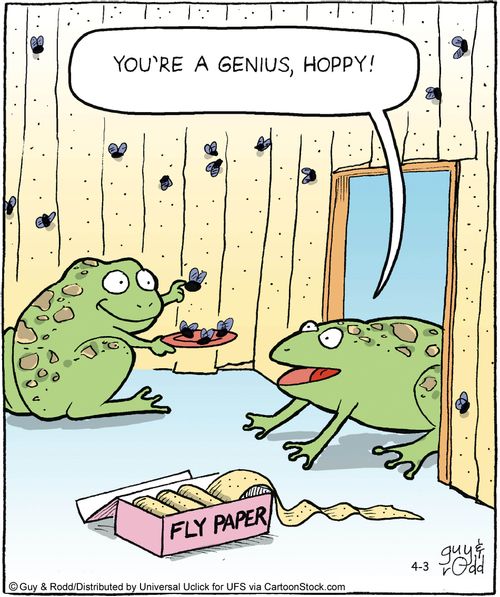 'You're a genius, Hoppy!'