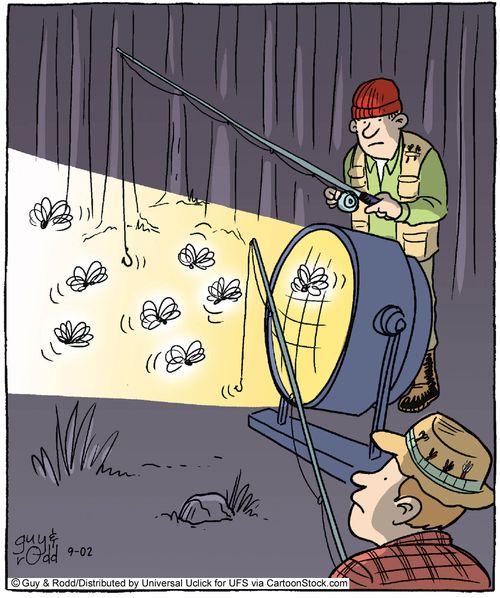 Fly fishing