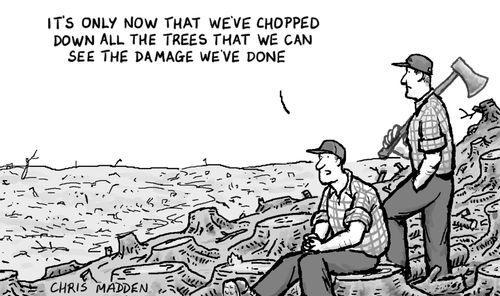 'It's only now that we've chopped down all of the trees that we can see the damage we've done'