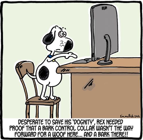 Desperate to save his 'Dognity', Rex needed proof that a bark control collar wasn't the way forward for a woof here. . . and a bark there!!'