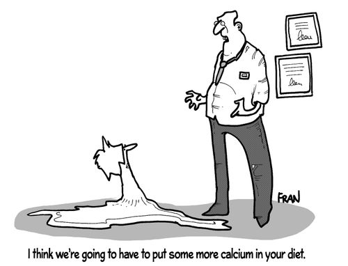 'I think we're going to have to put some more calcium in your diet.'