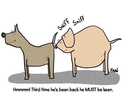 'Hmmmm! Third time he's been back he MUST be keen.'