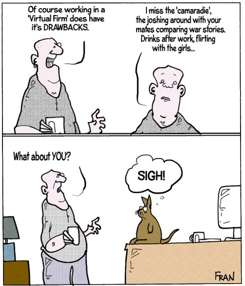 'Of course working in a 'Virtual Firm' does have it's drawbacks...'