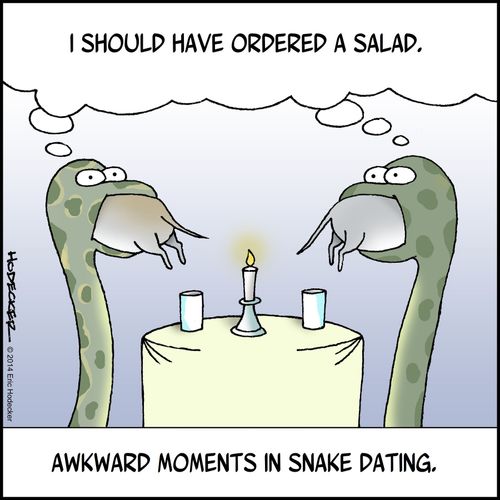 "I should have ordered a salad."