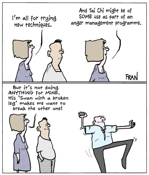 'I'm a ll for trying new techniques...And Tai Chi might be of some use as part of an anger management programme.'