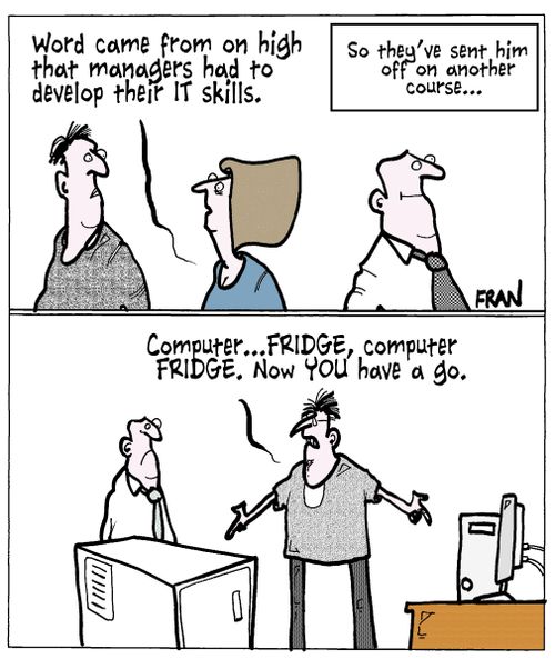 'Word came from on high that managers had to develop their IT skills...'