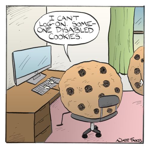 "I can't log-on. Some-one disabled cookies."