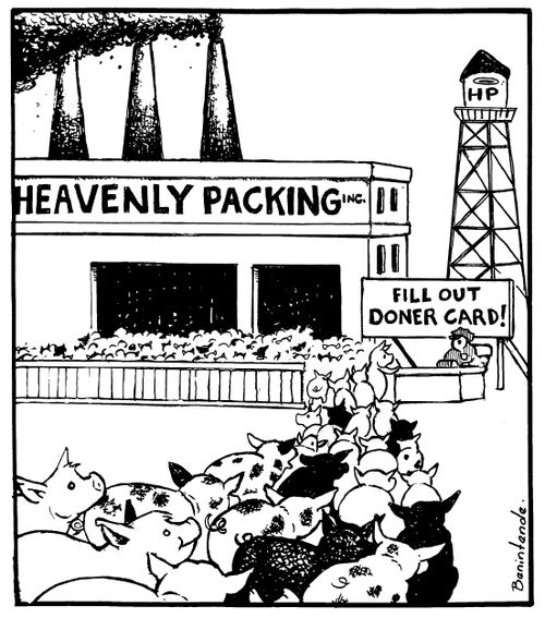 Heavenly Packing: Fill Out Doner Card!