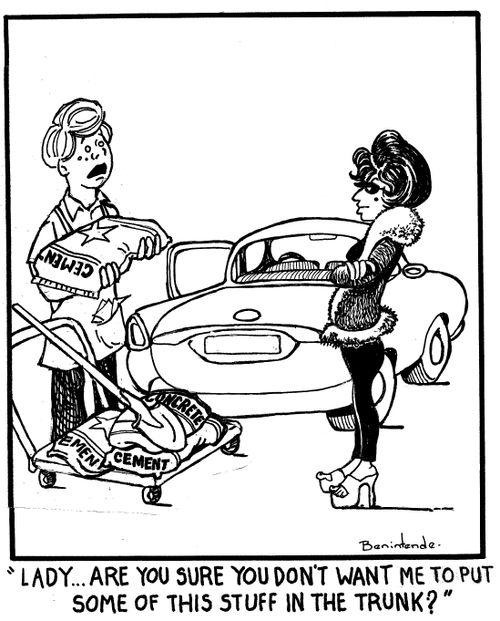 "Lady...Are you sure you don't want me to put some of this stuff in the trunk?"