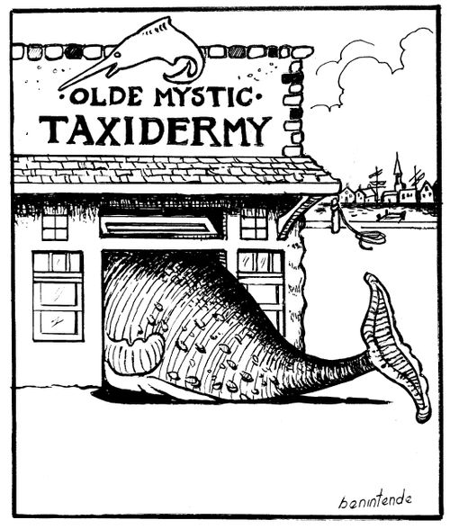 Olde Mystic Taxidermy