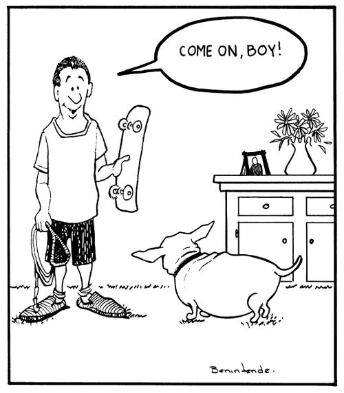 "Come on, boy!"