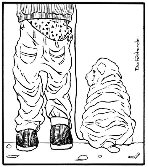 Wrinkled pants/wrinkled dog