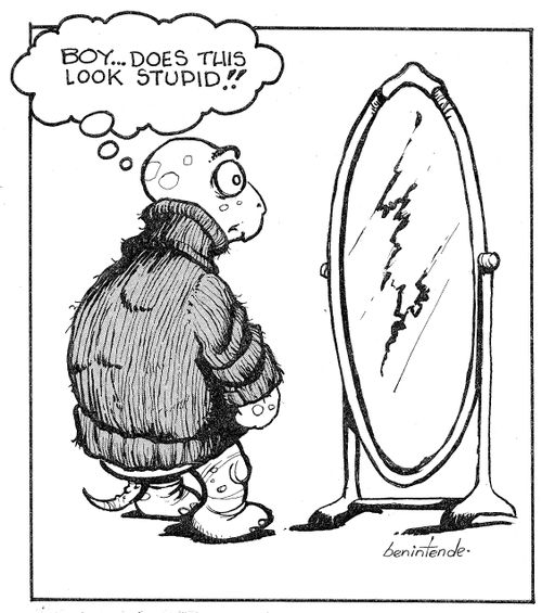 "Boy... does this look stupid!!"