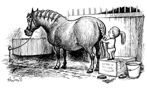 Braiding a Horse's Tail