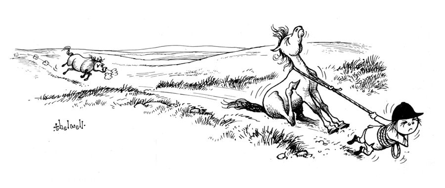 Stubborn Horse
