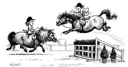 The Horse Jump - One girl makes it over, the other is cover in leaves.
