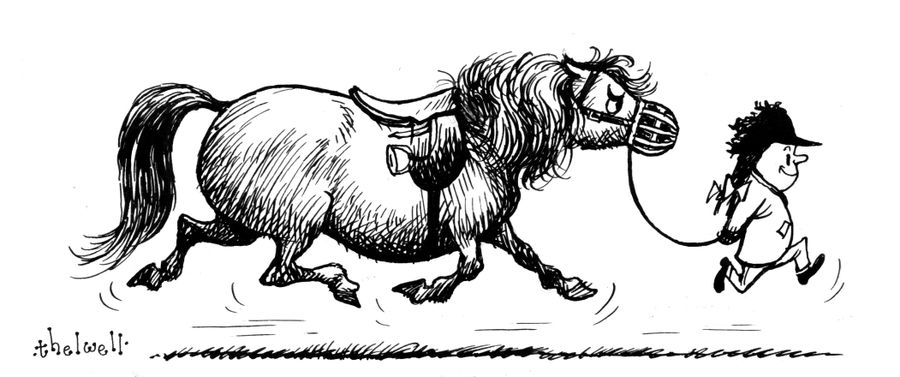 Horse Muzzles