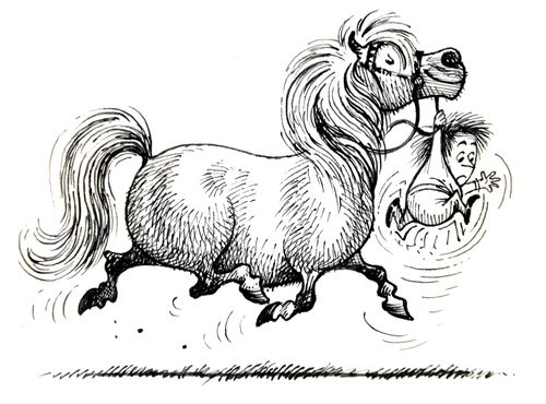 Horse takes its owner for a walk.