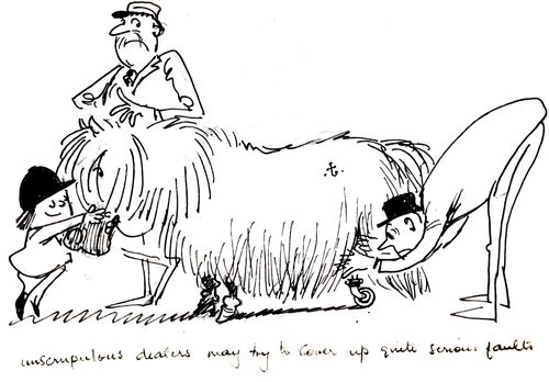 Unscrupulous dealers may try to cover up quite serious faults.