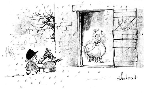 Decorating the Stables