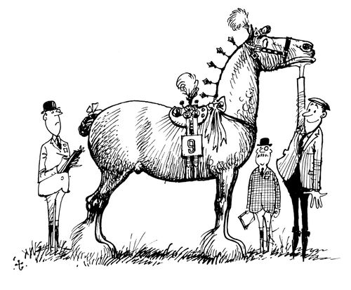 Dressage