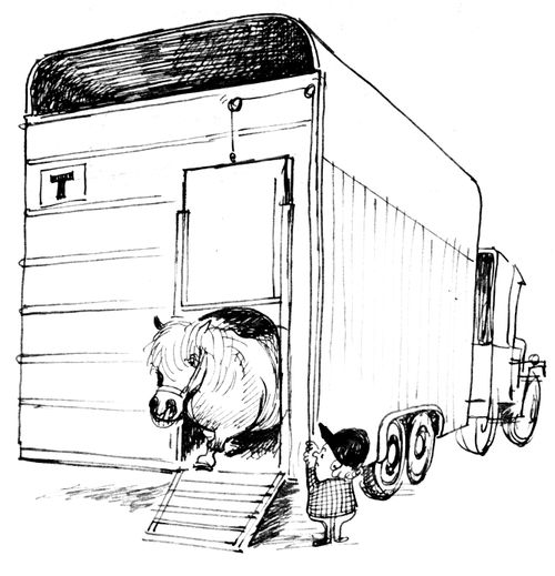 Pony Box