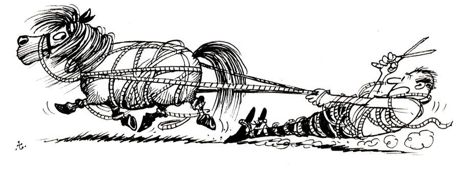 Tangled Up in Horse Tack.