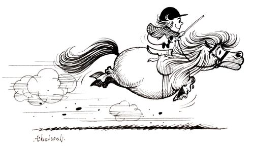 The Gallop