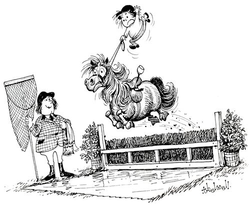 The Horse Jump