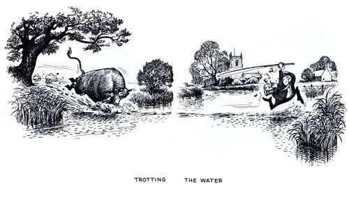 Bull charging a fisherman