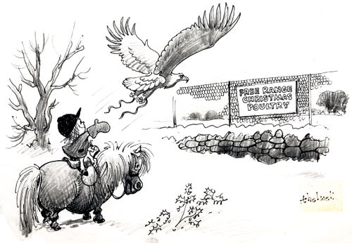 Free Range Christmas Poultry