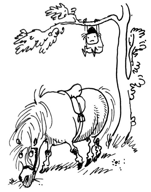 Riding Accidents