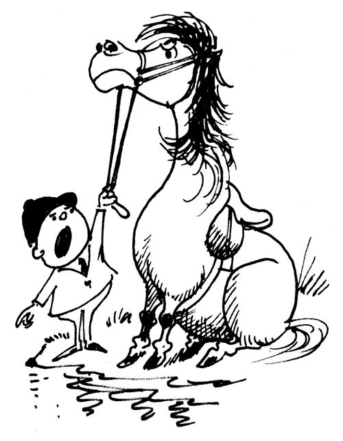 Stubborn Horses