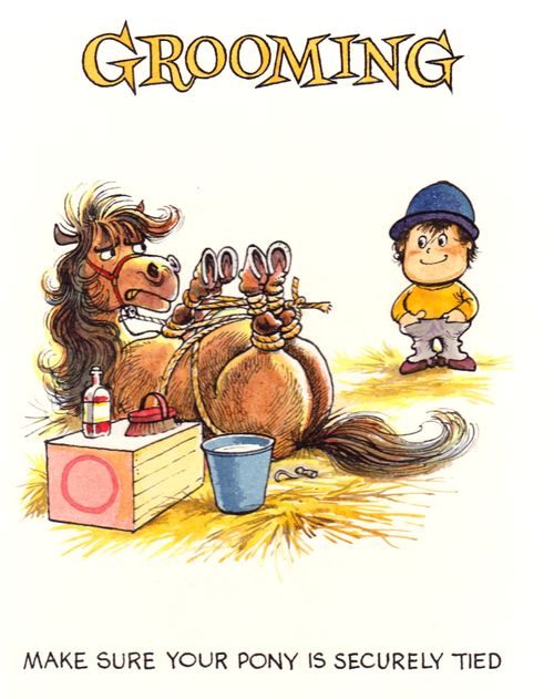 Grooming: Make sure your pony is securely tied.