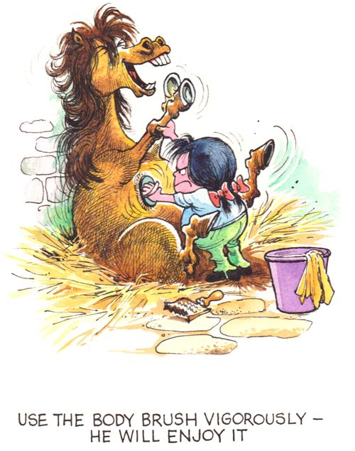 Use the body brush vigorously - he will enjoy it.