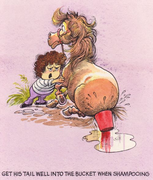 Get his tail well into the bucket when shampooing.