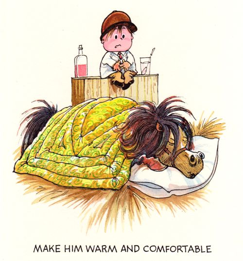 Make him warm and comfortable...
