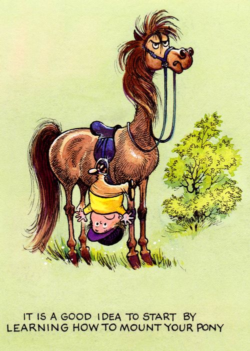 It is a good idea to start by learning how to mount your pony.