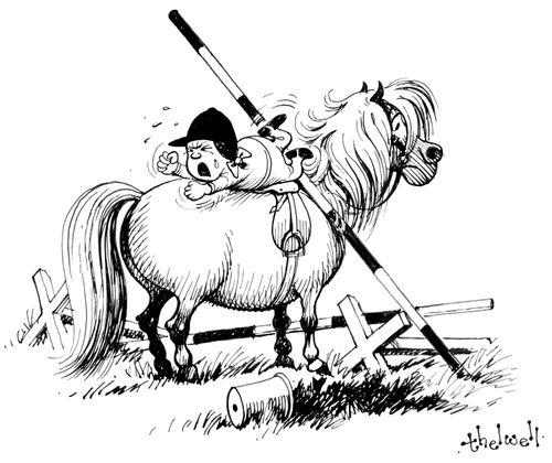 Show Jumping Tantrums