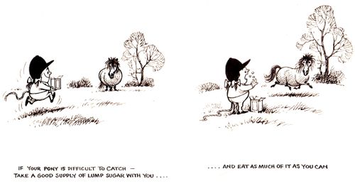 If you pony is difficult to catch...take a good supply of lump sugar with you...and eat as much of it as you can.