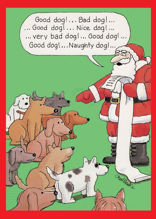 Good Dog!...Bad dog!...Good dog!....Nice dog!...Very bad dog!....Good dog!....Good dog!...Naughty dog!..."